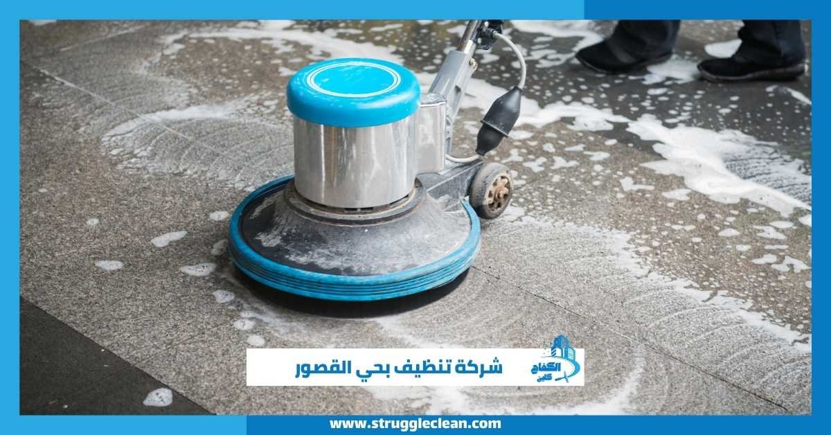 شركة تنظيف بحي القصور