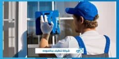 شركة تنظيف بجالموده