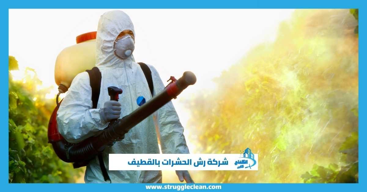 شركة رش الحشرات بالقطيف