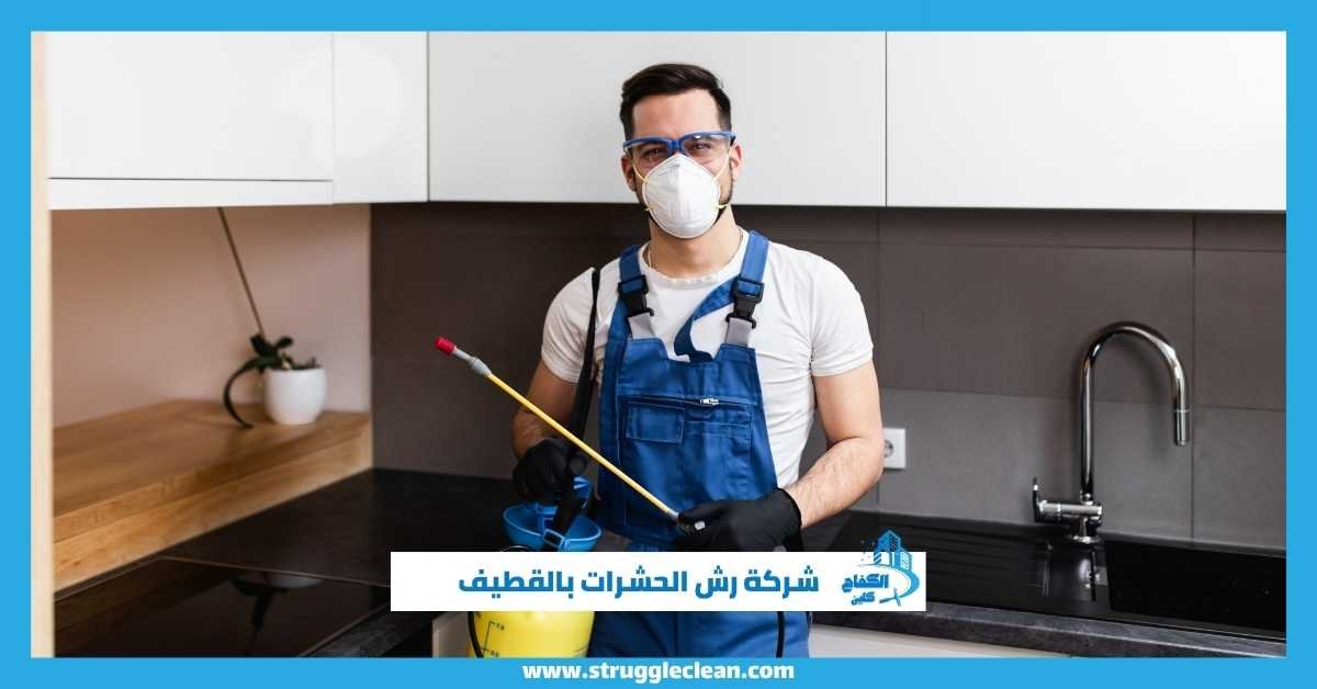 رش الحشرات بالقطيف
