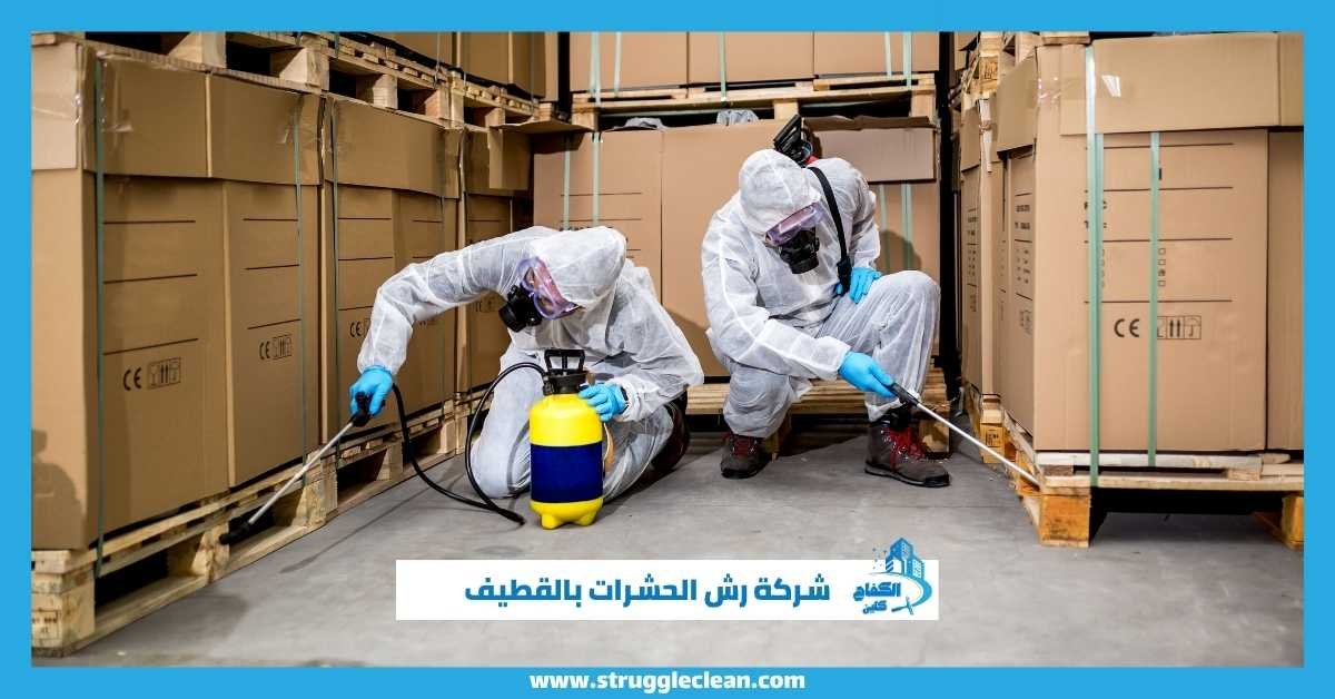 رش الحشرات القطيف