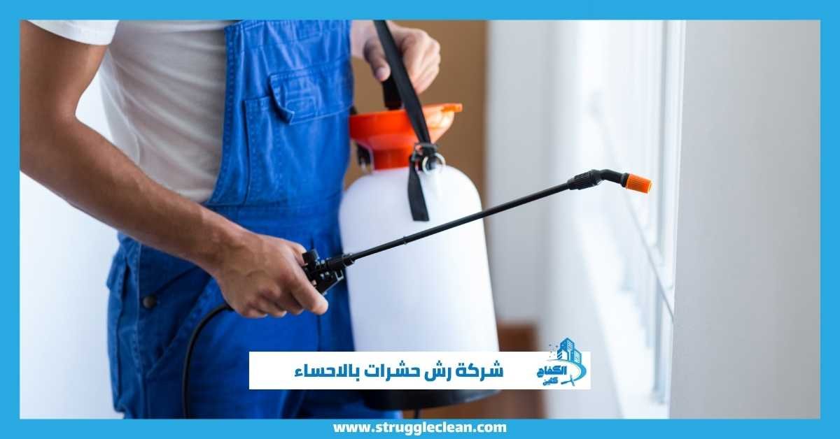 شركة رش حشرات بالاحساء