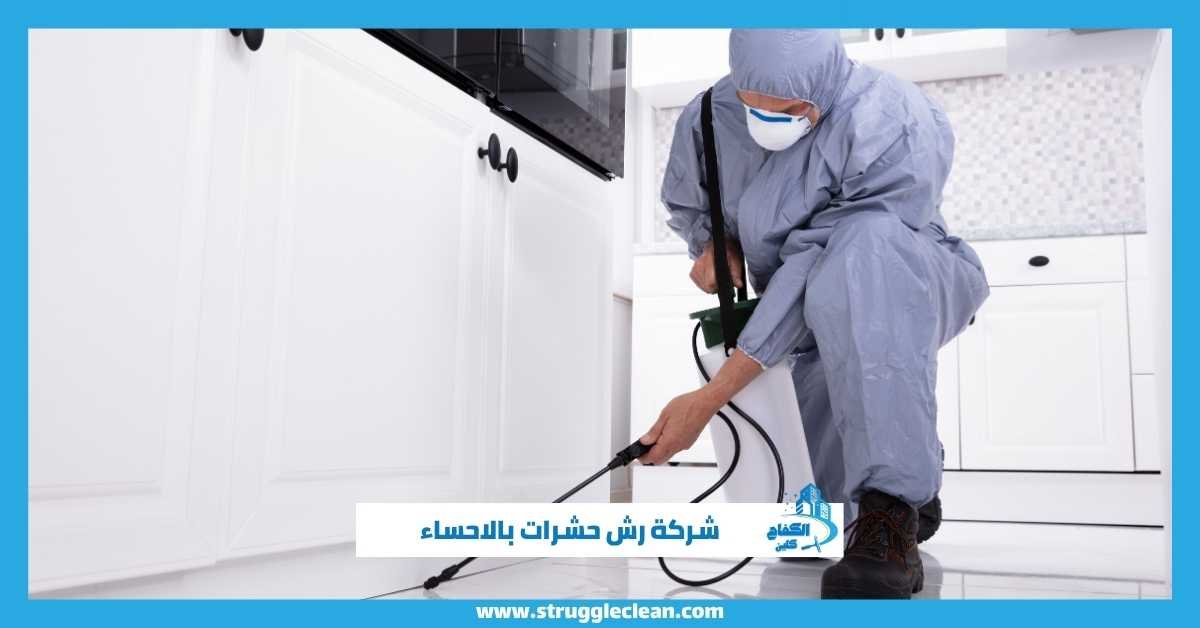 رش حشرات بالاحساء