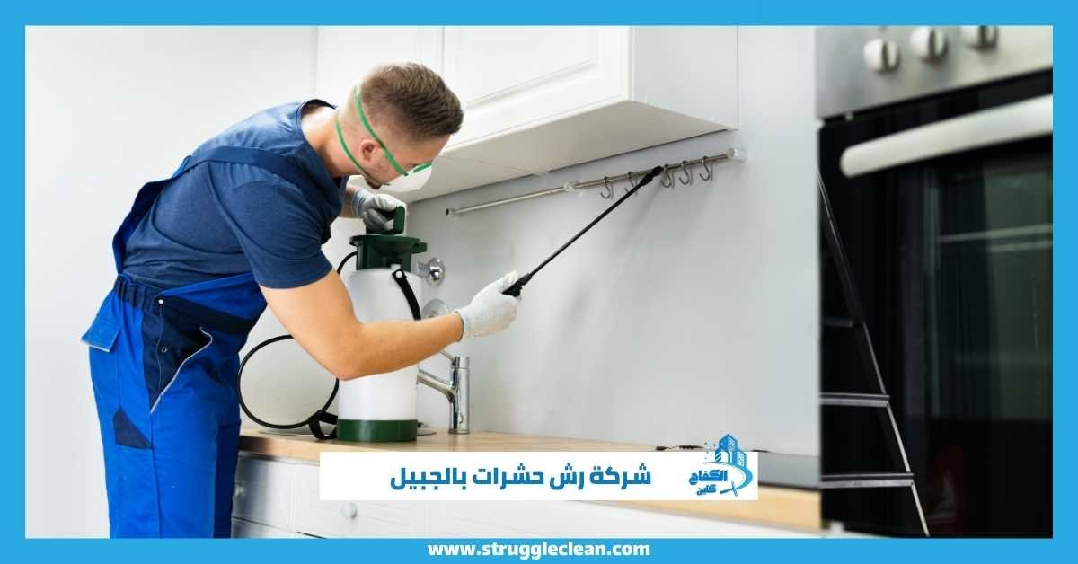رش حشرات بالجبيل