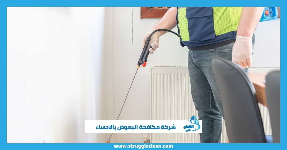 شركة مكافحة البعوض بالاحساء