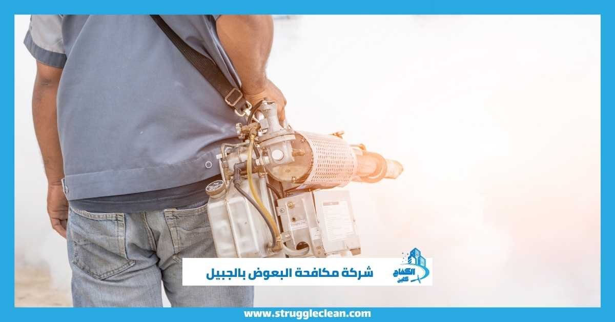  شركة مكافحة البعوض بالجبيل