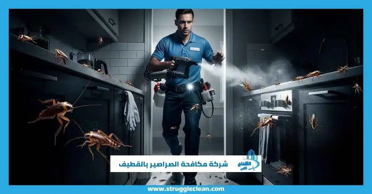 شركة مكافحة الصراصير بالقطيف