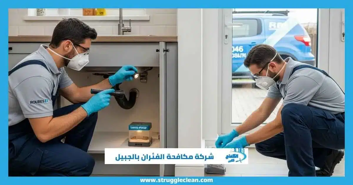 شركة مكافحة الفئران بالجبيل