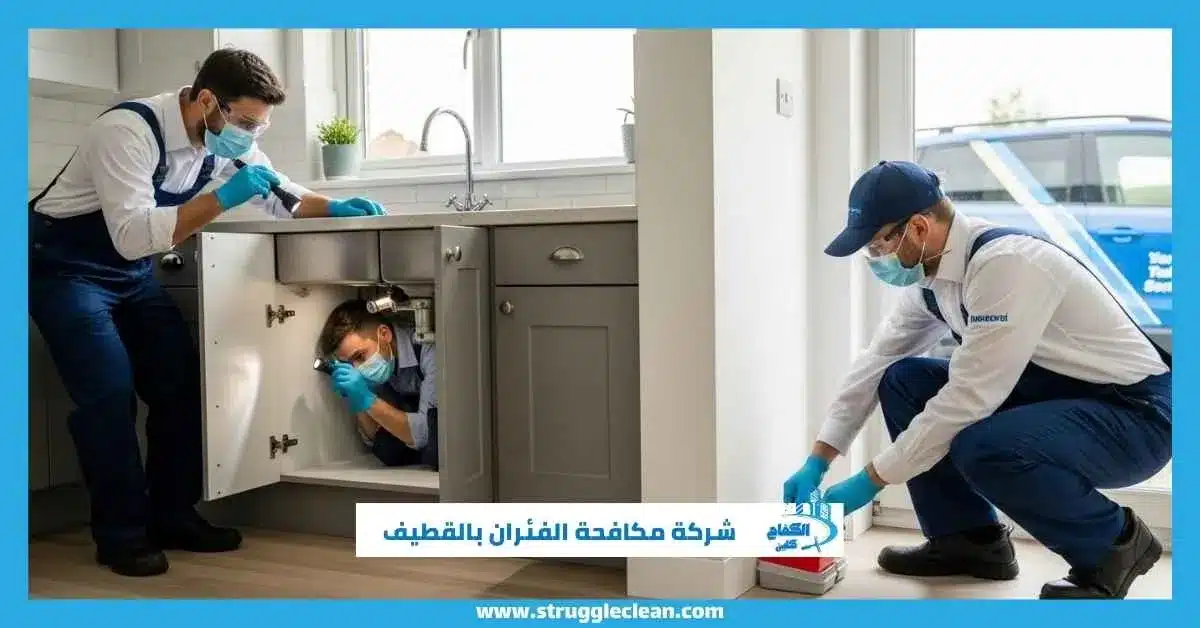 شركة مكافحة الفئران بالقطيف