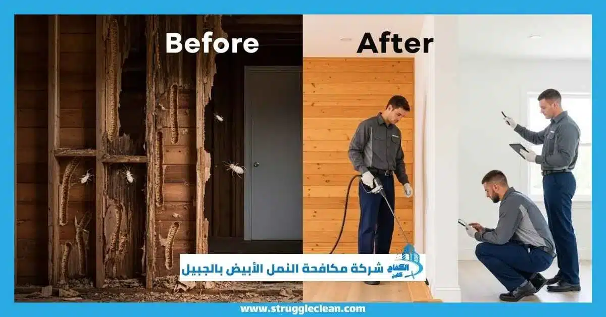 شركة مكافحة النمل الأبيض بالجبيل