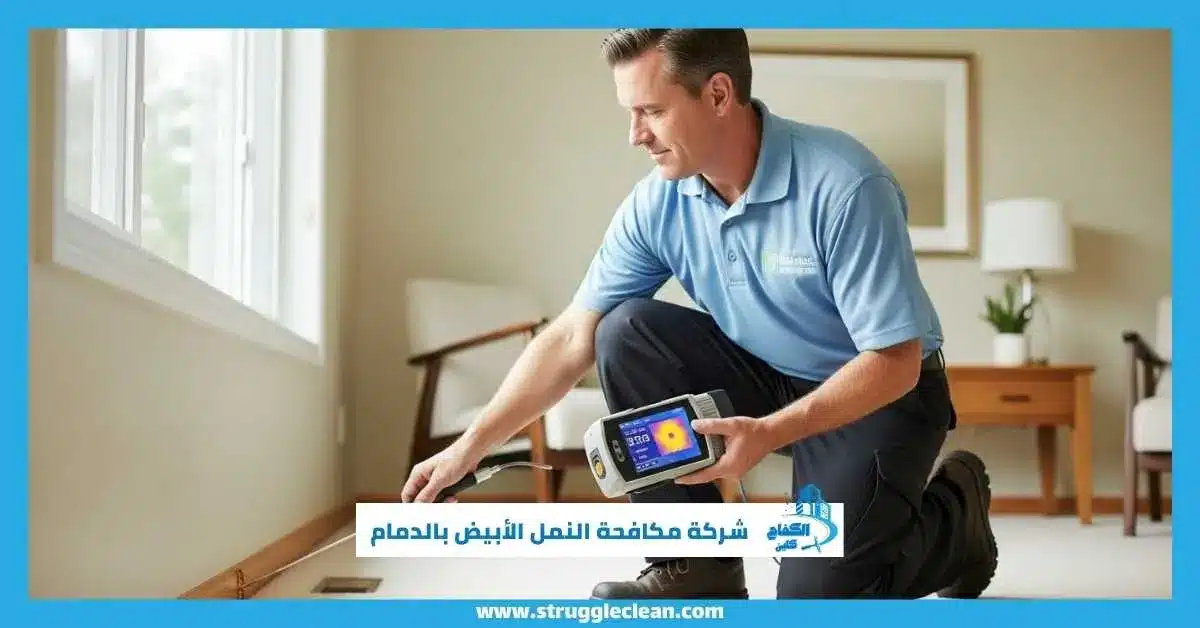 شركة مكافحة النمل الأبيض بالدمام