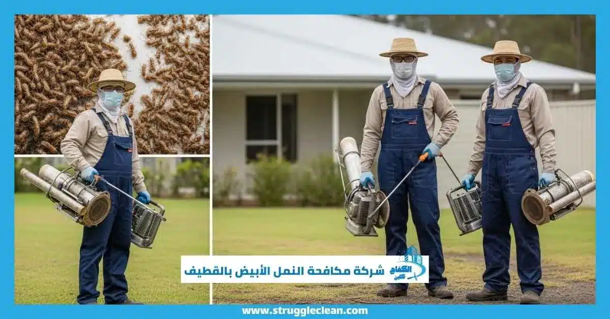 شركة مكافحة النمل الأبيض بالقطيف