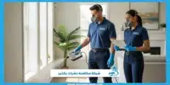 شركة مكافحة حشرات بالخبر حلول فعالة ونهائية للمنازل
