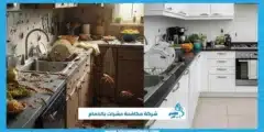 شركة مكافحة حشرات بالدمام أمان كامل وحماية طويلة
