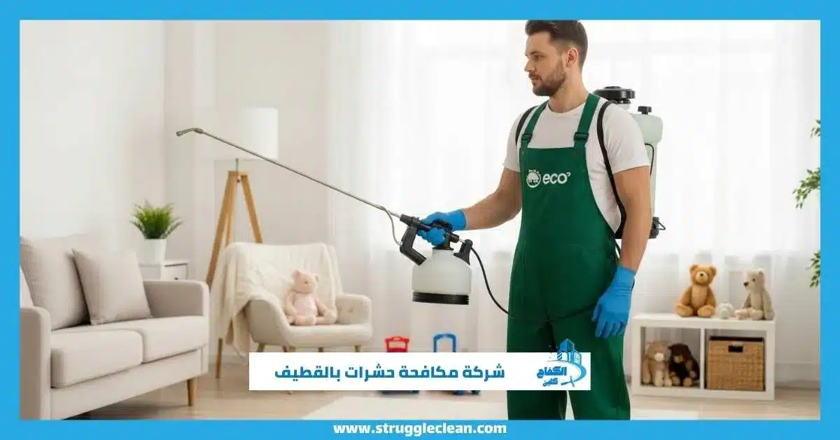 شركة مكافحة حشرات بالقطيف