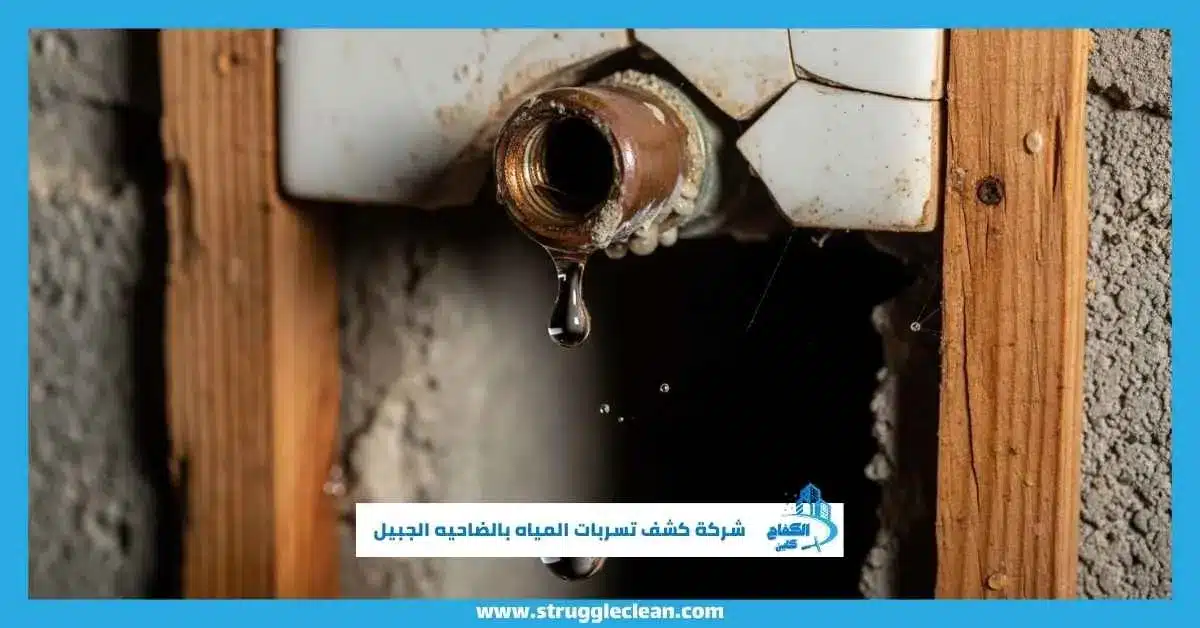 شركة كشف تسربات المياه بالضاحيه الجبيل