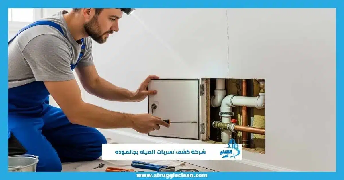 شركة كشف تسربات المياه بجالموده