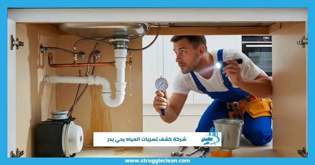 شركة كشف تسربات المياه بحي بدر