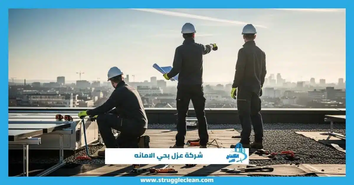 شركة عزل بحي الامانه