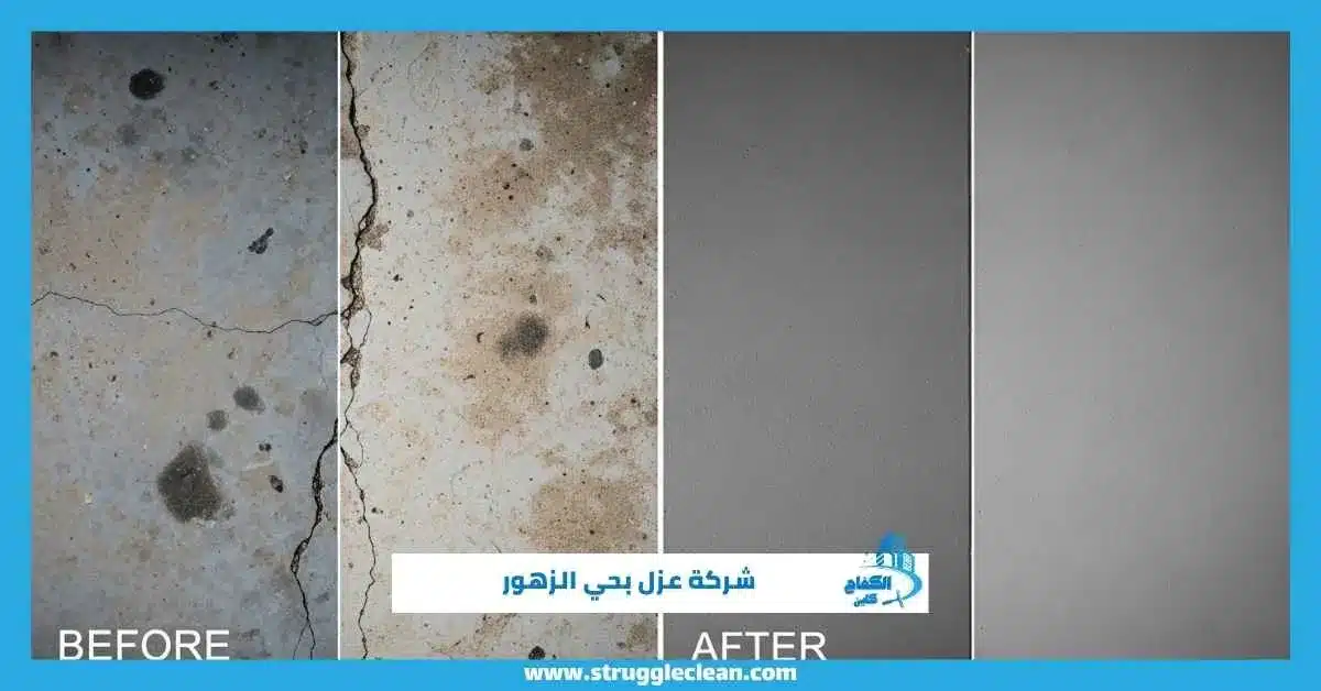 شركة عزل بحي الزهور