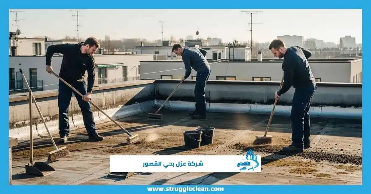 شركة عزل بحي القصور