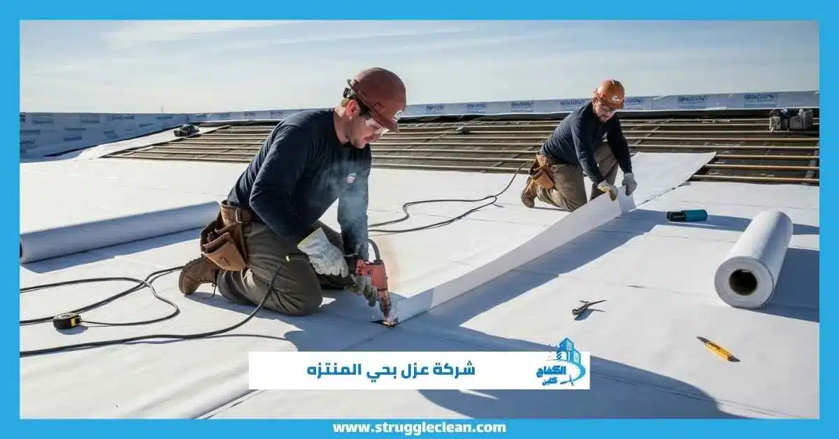 شركة عزل بحي المنتزه