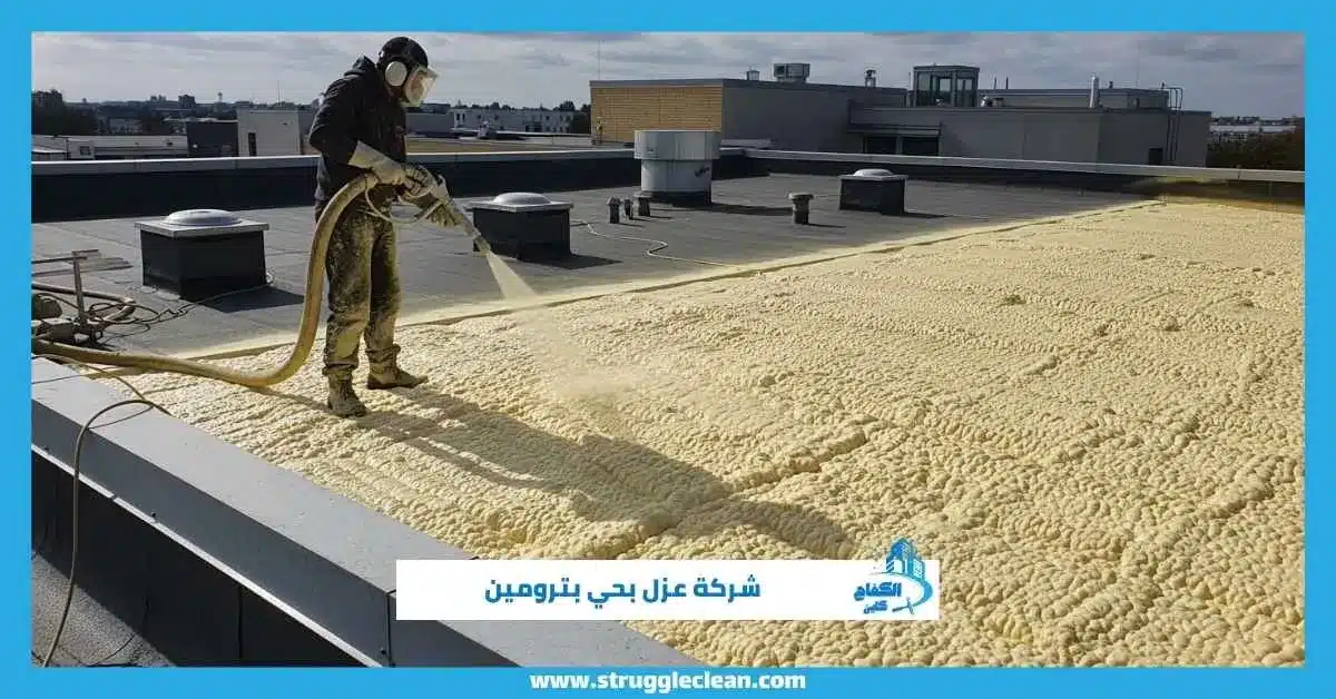 شركة عزل بحي بترومين