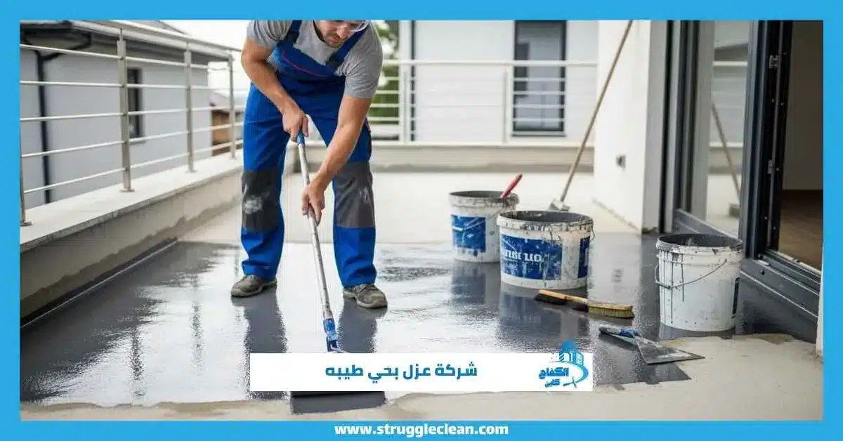 شركة عزل بحي طيبه